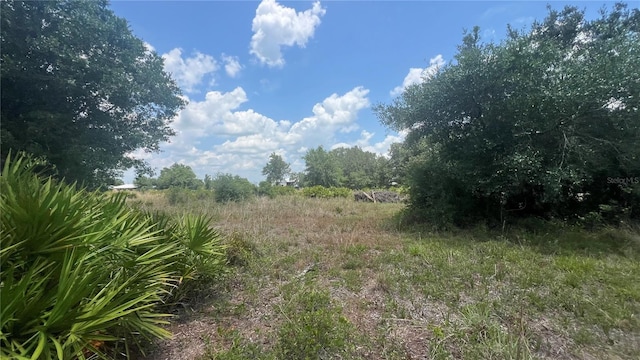 1865 NE Cross Ave, Arcadia, FL 34266 - photo 4