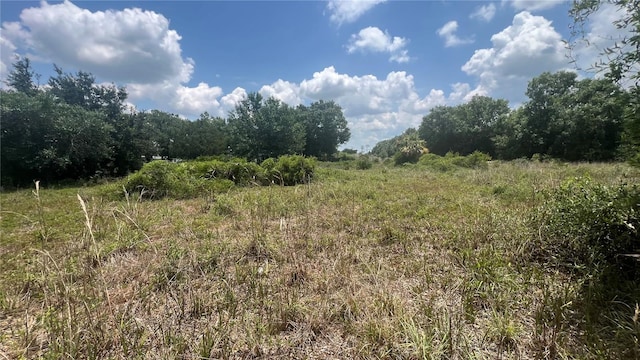 1865 NE Cross Ave, Arcadia, FL 34266 - photo 5