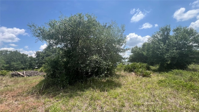1865 NE Cross Ave, Arcadia, FL 34266 - photo 6