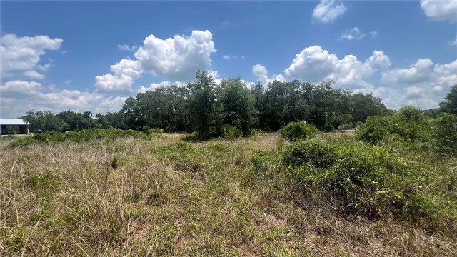 1865 NE Cross Ave, Arcadia, FL 34266 - photo 8