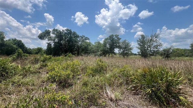 1865 NE Cross Ave, Arcadia, FL 34266 - photo 10