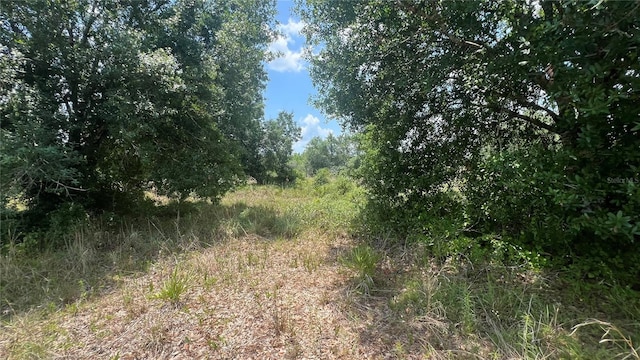 1865 NE Cross Ave, Arcadia, FL 34266 - photo 15