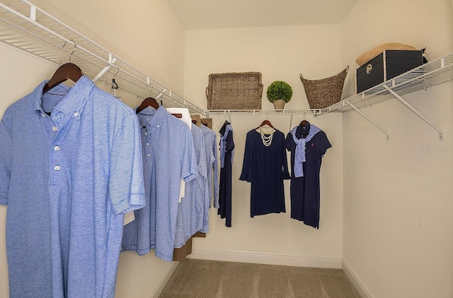 26687 Raphis Royale Blvd, Englewood, FL 34223 - spacious closet featuring carpet