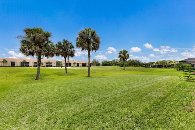 8640 Stone Harbour Loop, Bradenton, FL 34212 - view of green lawn