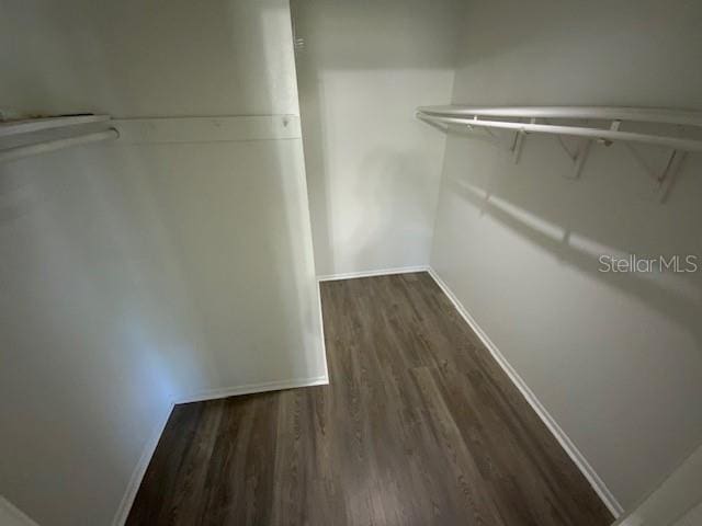 6923 13th Ave E, Bradenton, FL 34208 - spacious closet with dark wood-style floors