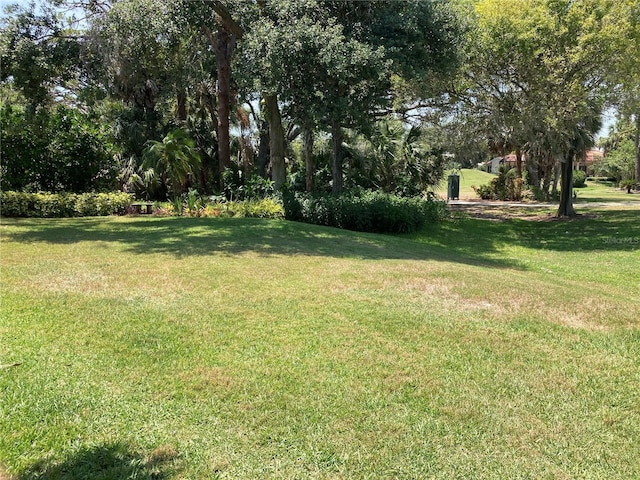 2149 Muskogee Trl, Nokomis, FL 34275 - view of grassy yard