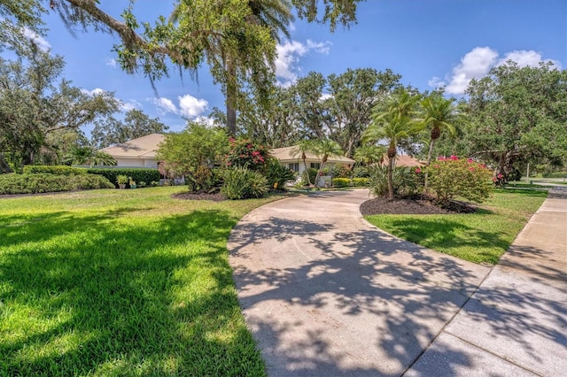 2914 Dick Wilson Dr, Sarasota, FL 34240 - view of front of property with a front lawn