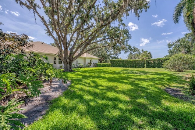 2914 Dick Wilson Dr, Sarasota, FL 34240 - view of grassy yard