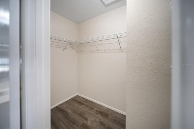 16834 Toledo Blade Blvd, Port Charlotte, FL 33954 - walk in closet featuring dark wood-type flooring