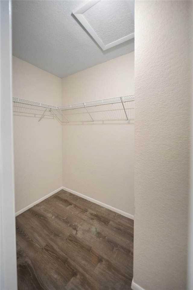 16834 Toledo Blade Blvd, Port Charlotte, FL 33954 - spacious closet with dark wood-style flooring and attic access