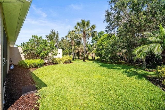 5866 Guarino Dr, Sarasota, FL 34238 - view of grassy yard