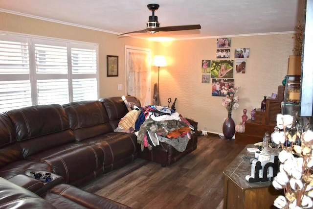 1099 6th Ave NE, Largo, FL 33770 - living area featuring dark wood-style floors, ceiling fan, ornamental molding, and baseboards