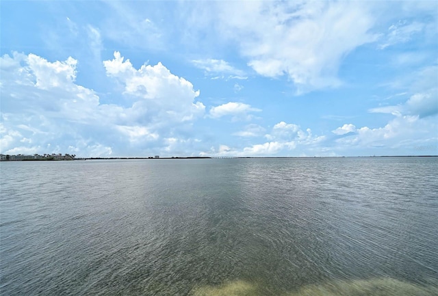 6372 Palma Del Mar Blvd S Unit 503, Saint Petersburg, FL 33715 - photo 43