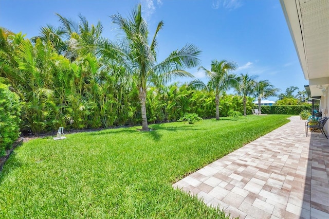 7913 19th Avenue Dr W, Bradenton, FL 34209 - view of grassy yard with a patio