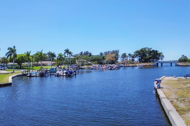 7913 19th Avenue Dr W, Bradenton, FL 34209 - water view