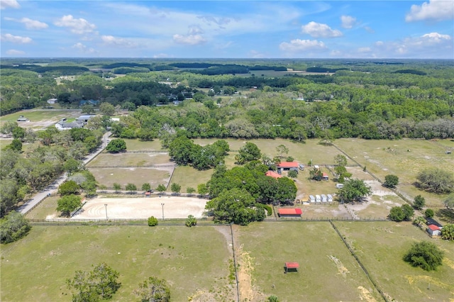 12714 Tyler Run Ave, Odessa, FL 33556 - aerial view of property and surrounding area with a forest