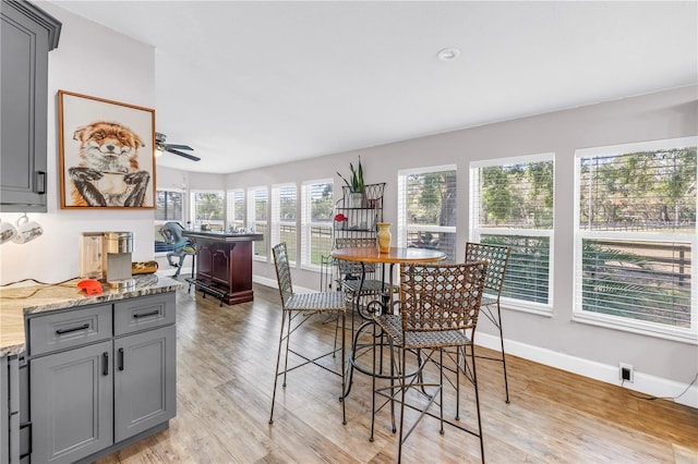 12714 Tyler Run Ave, Odessa, FL 33556 - dining area with a ceiling fan, baseboards, and light wood-style floors