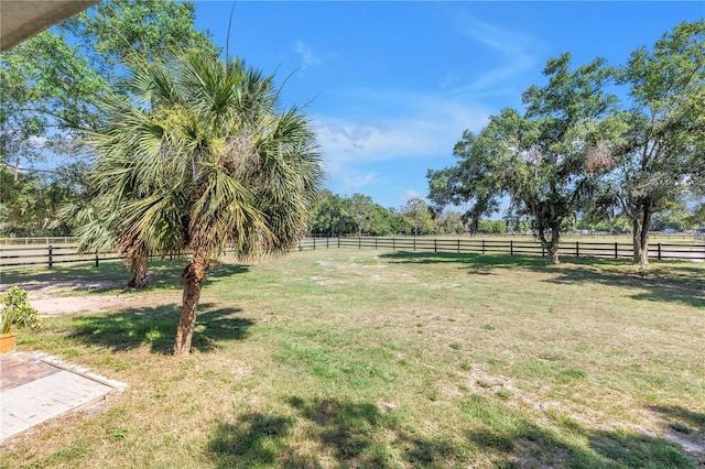 12714 Tyler Run Ave, Odessa, FL 33556 - view of yard featuring a rural view