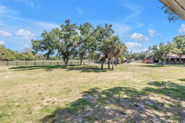 12714 Tyler Run Ave, Odessa, FL 33556 - view of yard