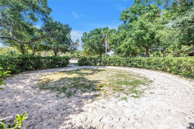 12714 Tyler Run Ave, Odessa, FL 33556 - view of yard