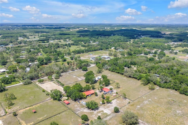 12714 Tyler Run Ave, Odessa, FL 33556 - drone / aerial view