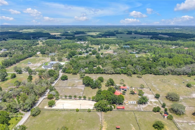 12714 Tyler Run Ave, Odessa, FL 33556 - drone / aerial view