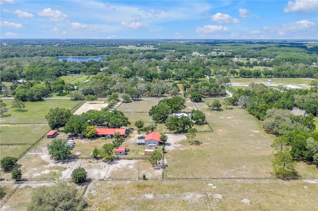 12714 Tyler Run Ave, Odessa, FL 33556 - bird's eye view of a nearby body of water and a forest