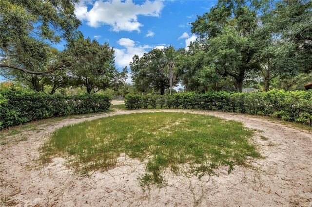 12714 Tyler Run Ave, Odessa, FL 33556 - photo 75