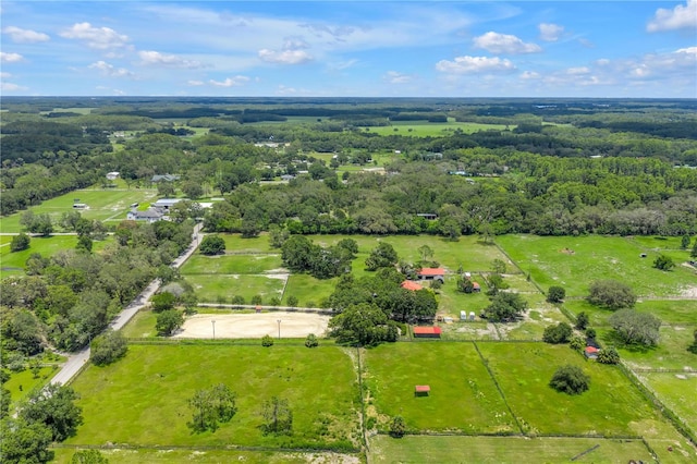 12714 Tyler Run Ave, Odessa, FL 33556 - photo 2