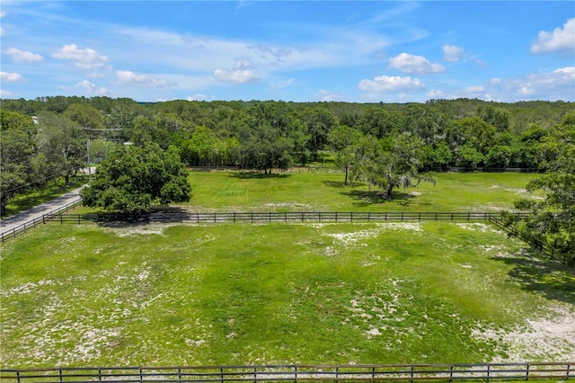 12714 Tyler Run Ave, Odessa, FL 33556 - photo 4