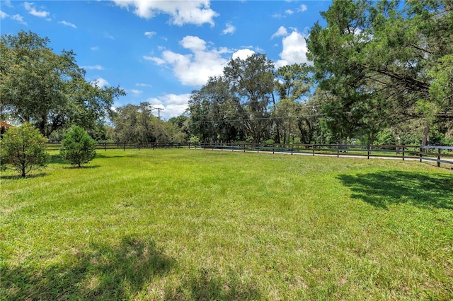 12714 Tyler Run Ave, Odessa, FL 33556 - photo 14