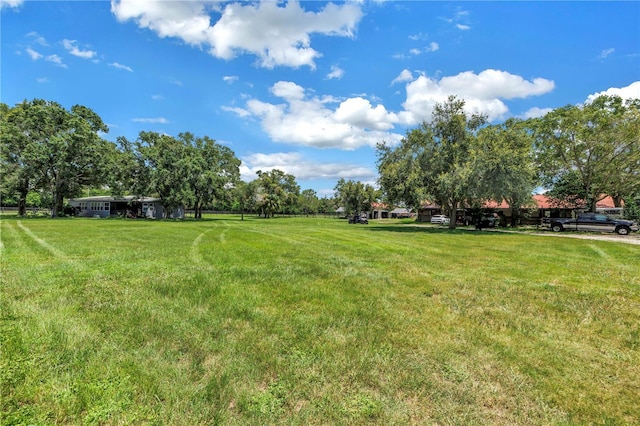 12714 Tyler Run Ave, Odessa, FL 33556 - photo 15