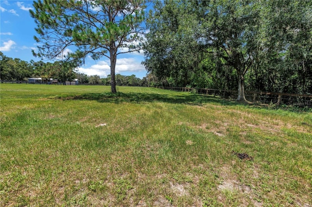 12714 Tyler Run Ave, Odessa, FL 33556 - photo 84