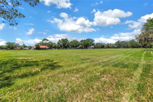12714 Tyler Run Ave, Odessa, FL 33556 - photo 85