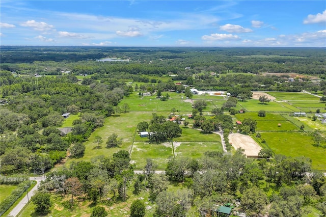 12714 Tyler Run Ave, Odessa, FL 33556 - photo 86