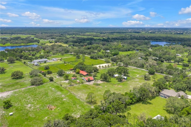 12714 Tyler Run Ave, Odessa, FL 33556 - photo 88