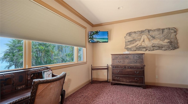 203 Robin Dr, Sarasota, FL 34236 - photo 55