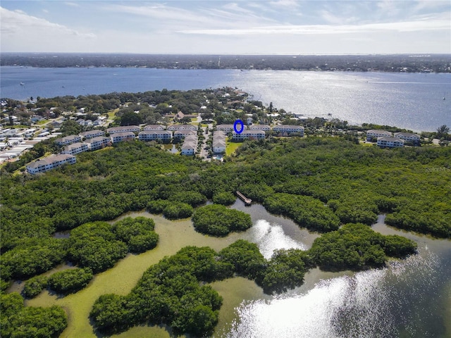 3409 10th Ln W, Palmetto, FL 34221 - aerial view of a nearby body of water