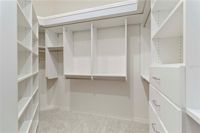 7314 Hamilton Rd, Bradenton, FL 34209 - walk in closet featuring carpet floors