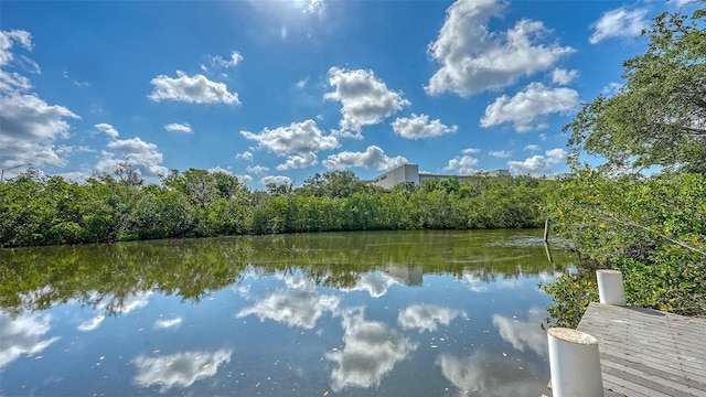 4771 Riverwood Cir, Sarasota, FL 34231 - water view