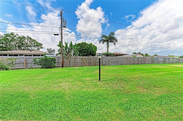 3213 Mercer Rd, Bradenton, FL 34207 - view of yard