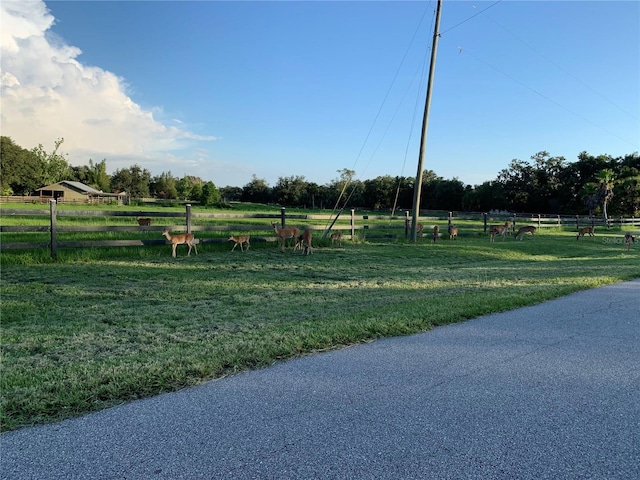 4353 Hidden River Rd, Sarasota, FL 34240 - photo 25