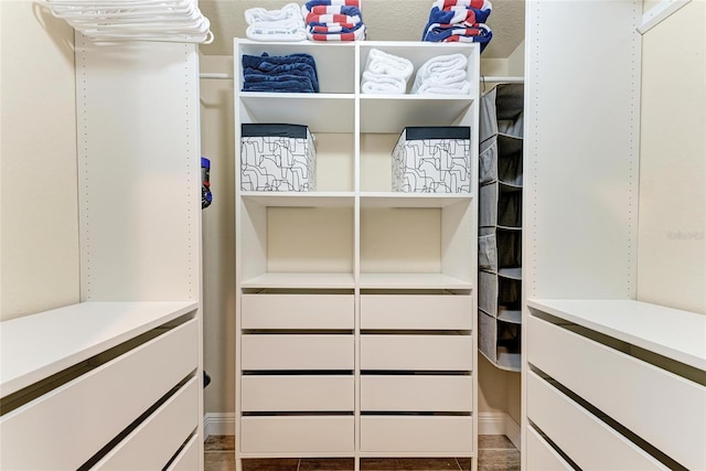 7911 Grand Estuary Trl Unit 102, Bradenton, FL 34212 - view of spacious closet