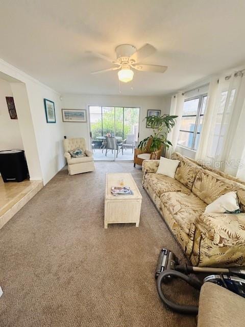8409 43rd Ave W, Bradenton, FL 34209 - living room featuring a ceiling fan, carpet, and healthy amount of natural light