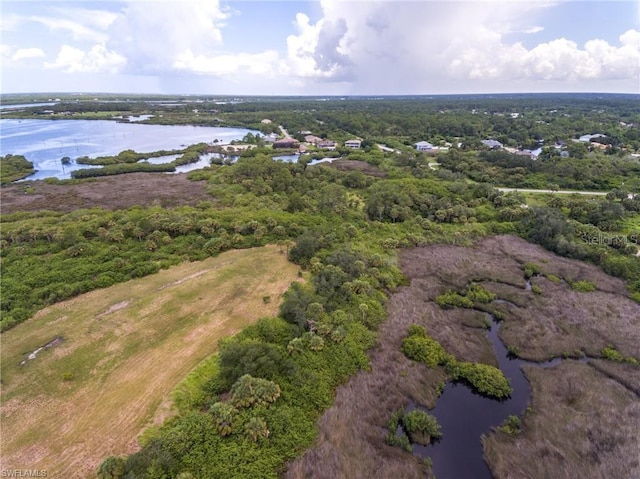 12477 Eisenhower Dr, Port Charlotte, FL 33953 - photo 9