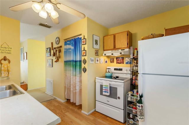 5403 Fleming St, Port Charlotte, FL 33981 - kitchen featuring white appliances, under cabinet range hood, light wood finished floors, ceiling fan, and light countertops