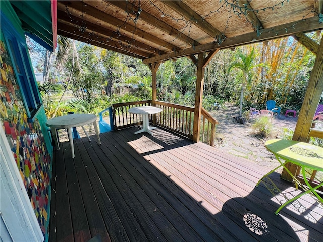 1019 10th Ave W, Bradenton, FL 34205 - view of deck