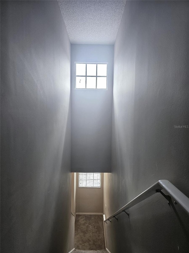 5711 Bentgrass Dr Unit 19-203, Sarasota, FL 34235 - stairway with plenty of natural light, carpet, baseboards, and a textured ceiling