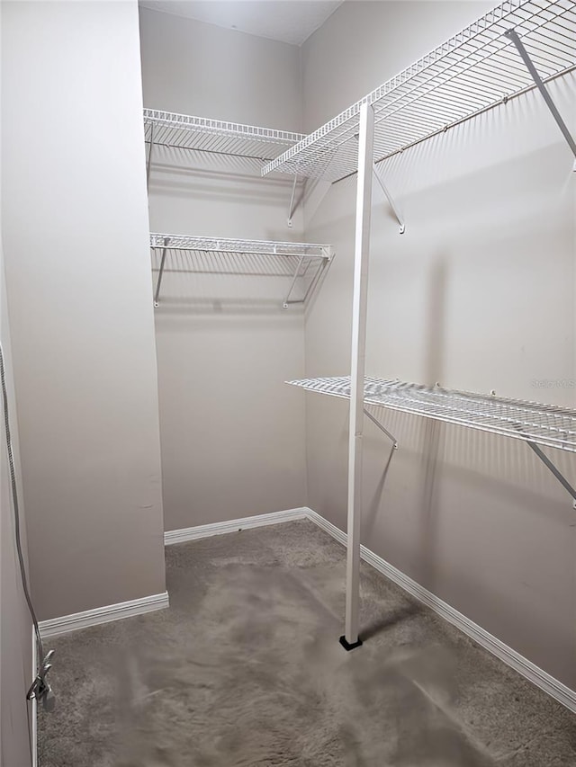 5711 Bentgrass Dr Unit 19-203, Sarasota, FL 34235 - spacious closet featuring carpet floors