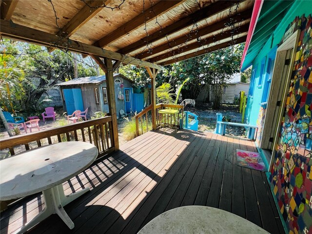1019 10th Ave W, Bradenton, FL 34205 - photo 44